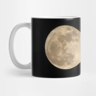 Id give you the moon Mug